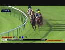 2017年 カドラン賞(Prix du Cadran)ヴァジラバド(Vazirabad)