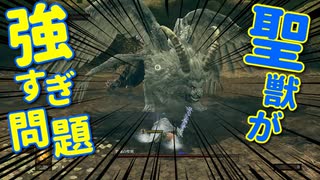 【初見】厨二病の私が嫁を作ってダクソDLCをやる【実況】part7