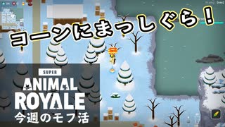 【Super Animal Royale】今週のモフ活 Part 5