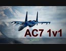 Ace Combat 7 Extra59 バトルロイヤル ジング氏とのタイマン総集編