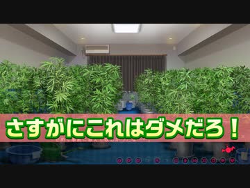 9話 事故物件に行ったら淫魔と同棲することになった件（きまぐれテンプテーション）エロゲ実況