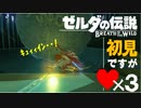 【ブレワイ酔っ払い縛り実況４】神ゲーとか調子にノッてんじゃねぇぇえ!!!ゼルダの伝説ブレスオブザワイルド初見実況。