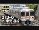 【JR東海】313系0番台 in 東海道線 ～Collection Vol.02～