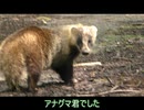 富山県道５４号　険道区間　その４