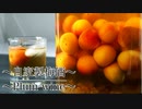 【自家製梅酒の作り方】ネコノメレシピ