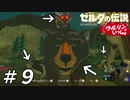 【実況】ウルリンといっしょ＃09｢いろんないきもの｣【BotW】