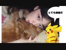 Pretenderの「君はぁ～綺麗だぁ～～」…をスライドショウにしてみた