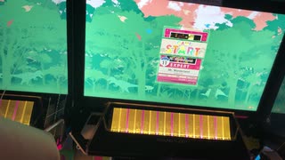 【CHUNITHM】Mr. Wonderland(EXPERT) AJ手元