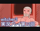 探し人を求めてwitcher3実況プレイ第12回