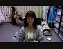 【猫の多頭飼い】ねこ姉さんふじ子のおしゃべり報告会 2019.11.04