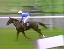 1989年 クイーンエリザベスII世ステークス(Queen Elizabeth II Stakes)ジルザル(Zilzal)
