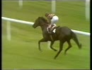 1990年 クイーンエリザベスII世ステークス(Queen Elizabeth II Stakes)マークオブディスティンクション(Markofdistinction)