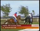 2003年 第190回 英1000ギニー(One Thousand Guineas Stakes)ラシアンリズム(Russian Rhythm)