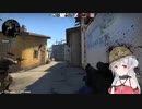 夜桜たまCSGO前編【Twitter公開動画】