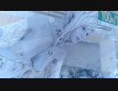 【ゆっくり実況】のんびり気ままにFF15寄り道プレイ【Part.285】