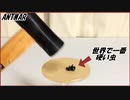 世界で一番硬い甲虫をトンカチでブッ叩くと・・・。