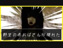 【実況】どこでも現れるようになったおちゃめな赤おばさん　らせんの宿　#6