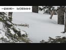 【BGM】『雪山BGM』／露芝ななせ