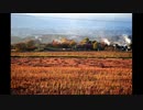 Nikon Dの世界2
