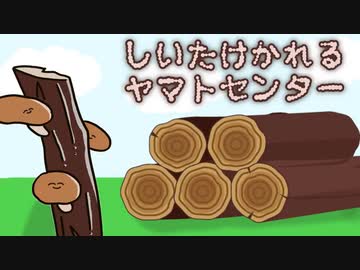 しいたけかれるヤマトセンターとTake 1