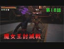 『Conan Outcasts』　転生したらコナンの世界だった件　第１８話　【魔女王討滅戦】