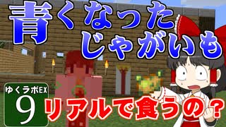 【MineCraft】ゆくラボＥＸ　バニラでリケジョが自給自足生活 DAY9【ゆっくり実況】