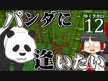 【MineCraft】ゆくラボＥＸ　バニラでリケジョが自給自足生活 DAY12【ゆっくり実況】