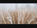 Frost Covered Hay Moves Gently　左近鈴乃