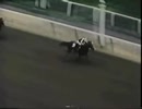 1977年 第109回 ベルモントステークス(Belmont Stakes)シアトルスルー(Seattle Slew)