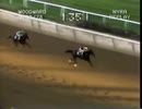 1978年 第25回 ウッドワードステークス(Woodward Stakes)シアトルスルー(Seattle Slew)