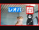 【恐怖！】レオパをお迎えする際に、絶対に注意しないといけないモルフ3つを語ってみた。【調べる！聞く！】