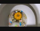M&M'sとカボチャをトイレに流してみた