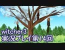 探し人を求めてwitcher3実況プレイ第14回