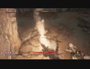 【隻狼-SEKIRO: SHADOWS DIE TWICE-】第二十五回　一回戦ったことあるボスに負けるやつおる？