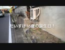 だいすけ16歳になりました！　誕生日記念動画　今日の散歩でのできごと