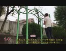 懸垂100回を10セットにわけてやってみた