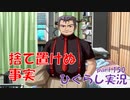 【ひぐらしのなく頃に 祭 実況part.150】一夜明けその後・・・