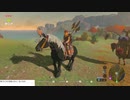 軽い縛りとマスターモードでゼルダの伝説ブレスオブザワイルドpart140。