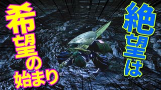 【初見】厨二病の私が嫁を作ってダクソDLCをやる【実況】part12