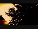 【ねなろ】celluloid【歌ってみた】