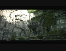 ジョージア飲みながら「PS4版 ワンダと巨像」実況プレイ 16缶目