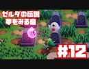 【ゼルダの伝説　夢をみる島】そこは一度入ると出られない、不思議な島。【＃12】