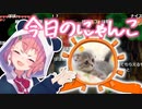笹木の飼い猫"ぽぽ"、勝手にエコーをかける