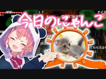 笹木の飼い猫"ぽぽ"、勝手にエコーをかける