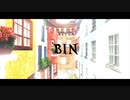 【APヘタリアMMD】bin