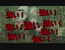 死にまくる【ダークソウル２】part12