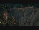【Bloodborne実況】ヤーナムの血の夜を絶叫ハンターが「い」く part10