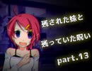 【拡散『希望』】残された妹と残っていた呪い part.13【ゲーム実況】