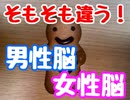 男性は口げんかでなぜ女性に勝てないのか？男性脳、女性脳の違い【男女】　　　子どもドリームプロジェクト　夢　仕事