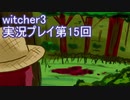 探し人を求めてwitcher3実況プレイ第15回